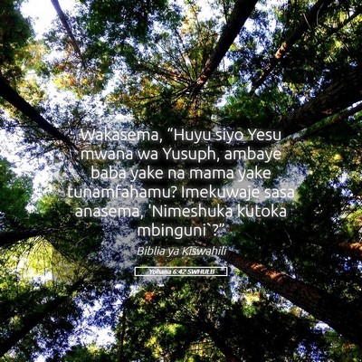 Picture 05 - Yohana 6:42 SWHULB - Wakasema, “Huyu siyo Yesu mwana wa Yusuph, - Bible Verse Picture
