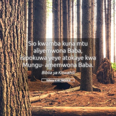 Picture 05 - Yohana 6:46 SWHULB - Sio kwamba kuna mtu aliyemwona Baba, isipokuwa - Bible Verse Picture