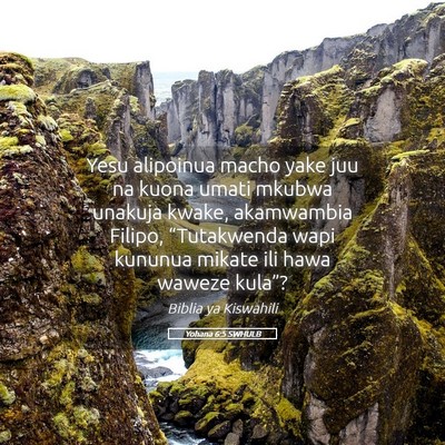 Picture 05 - Yohana 6:5 SWHULB - Yesu alipoinua macho yake juu na kuona umati - Bible Verse Picture