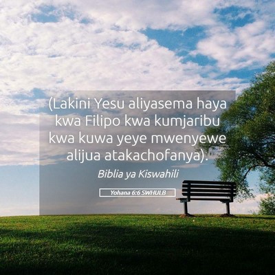 Picture 05 - Yohana 6:6 SWHULB - (Lakini Yesu aliyasema haya kwa Filipo kwa - Bible Verse Picture