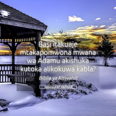 Picture 05 - Yohana 6:62 SWHULB - Basi itakuaje mtakapomwona mwana wa Adamu - Bible Verse Picture