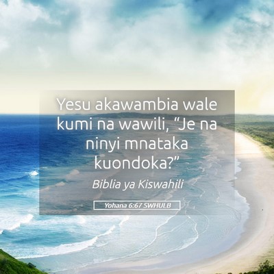 Picture 05 - Yohana 6:67 SWHULB - Yesu akawambia wale kumi na wawili, “Je na - Bible Verse Picture