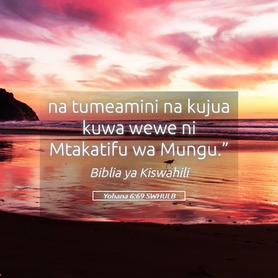 Picture 05 - Yohana 6:69 SWHULB - na tumeamini na kujua kuwa wewe ni Mtakatifu wa - Bible Verse Picture