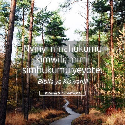 Picture 05 - Yohana 8:15 SWHULB - Nyinyi mnahukumu kimwili; mimi simhukumu - Bible Verse Picture