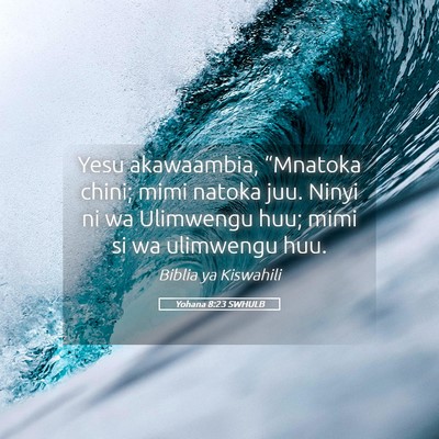 Picture 05 - Yohana 8:23 SWHULB - Yesu akawaambia, “Mnatoka chini; mimi natoka - Bible Verse Picture