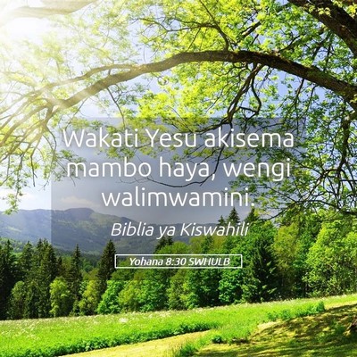 Picture 05 - Yohana 8:30 SWHULB - Wakati Yesu akisema mambo haya, wengi - Bible Verse Picture
