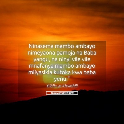 Picture 05 - Yohana 8:38 SWHULB - Ninasema mambo ambayo nimeyaona pamoja na Baba - Bible Verse Picture