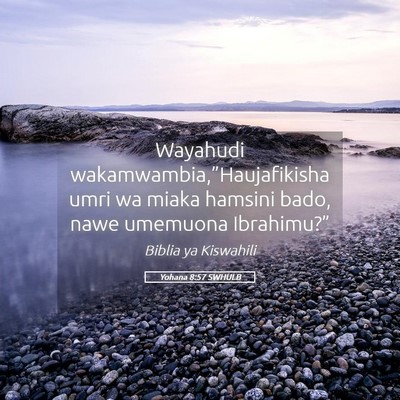 Picture 05 - Yohana 8:57 SWHULB - Wayahudi wakamwambia,”Haujafikisha umri wa - Bible Verse Picture
