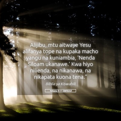 Picture 05 - Yohana 9:11 SWHULB - Alijibu, mtu aitwaye Yesu alifanya tope na kupaka - Bible Verse Picture