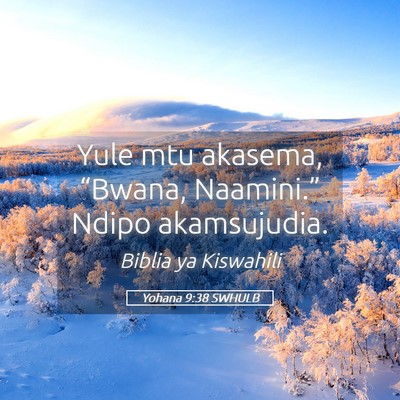 Picture 05 - Yohana 9:38 SWHULB - Yule mtu akasema, “Bwana, Naamini.” Ndipo - Bible Verse Picture