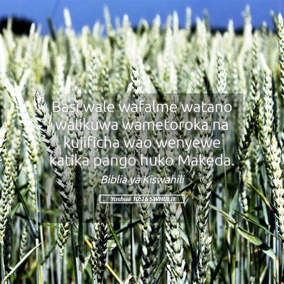 Picture 05 - Yoshua 10:16 SWHULB - Basi wale wafalme watano walikuwa wametoroka na - Bible Verse Picture