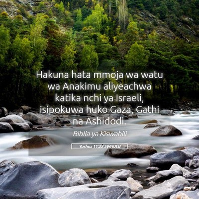 Picture 05 - Yoshua 11:22 SWHULB - Hakuna hata mmoja wa watu wa Anakimu aliyeachwa - Bible Verse Picture