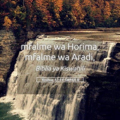 Picture 05 - Yoshua 12:14 SWHULB - mfalme wa Horima, mfalme wa - Bible Verse Picture