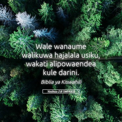 Picture 05 - Yoshua 2:8 SWHULB - Wale wanaume walikuwa hajalala usiku, wakati - Bible Verse Picture