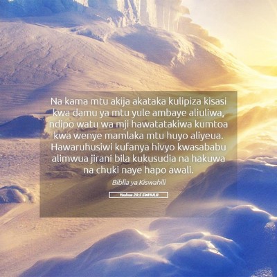 Picture 05 - Yoshua 20:5 SWHULB - Na kama mtu akija akataka kulipiza kisasi kwa - Bible Verse Picture
