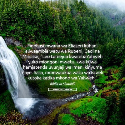Picture 05 - Yoshua 22:31 SWHULB - Finehasi mwana wa Eliazeri kuhani aliwaambia watu - Bible Verse Picture