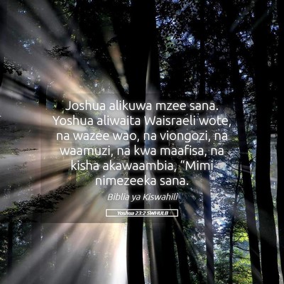Picture 05 - Yoshua 23:2 SWHULB - Joshua alikuwa mzee sana. Yoshua aliwaita - Bible Verse Picture
