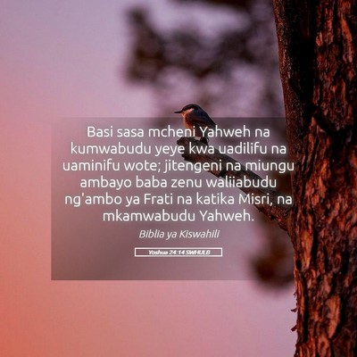 Picture 05 - Yoshua 24:14 SWHULB - Basi sasa mcheni Yahweh na kumwabudu yeye kwa - Bible Verse Picture
