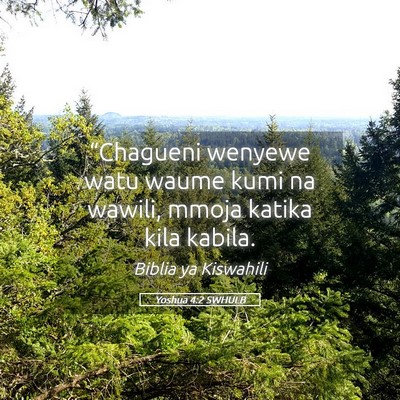 Picture 05 - Yoshua 4:2 SWHULB - “Chagueni wenyewe watu waume kumi na wawili, - Bible Verse Picture