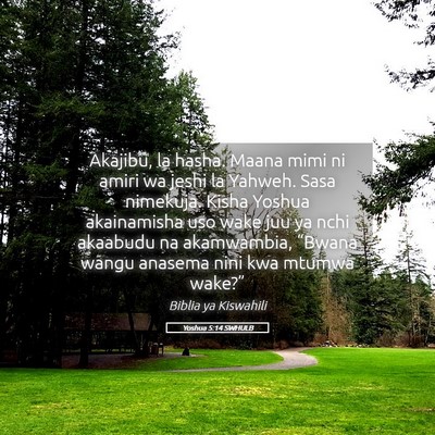 Picture 05 - Yoshua 5:14 SWHULB - Akajibu, la hasha. Maana mimi ni amiri wa jeshi - Bible Verse Picture