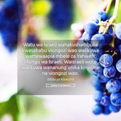 Picture 05 - Yoshua 9:18 SWHULB - Watu wa Israeli wahakushambulia kwasababu - Bible Verse Picture