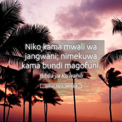 Picture 05 - Zaburi 102:6 SWHULB - Niko kama mwali wa jangwani; nimekuwa kama bundi - Bible Verse Picture