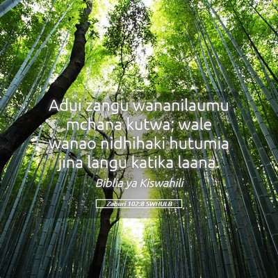 Picture 05 - Zaburi 102:8 SWHULB - Adui zangu wananilaumu mchana kutwa; wale wanao - Bible Verse Picture
