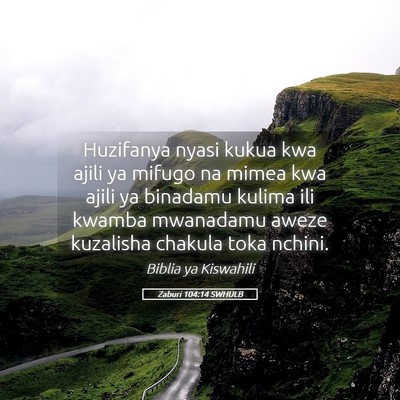 Picture 05 - Zaburi 104:14 SWHULB - Huzifanya nyasi kukua kwa ajili ya mifugo na - Bible Verse Picture