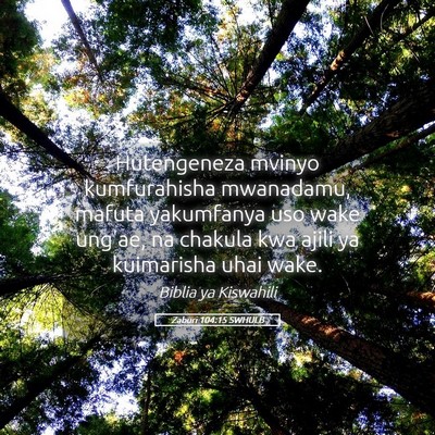 Picture 05 - Zaburi 104:15 SWHULB - Hutengeneza mvinyo kumfurahisha mwanadamu, mafuta - Bible Verse Picture