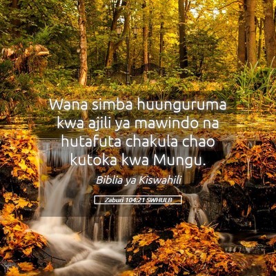 Picture 05 - Zaburi 104:21 SWHULB - Wana simba huunguruma kwa ajili ya mawindo na - Bible Verse Picture