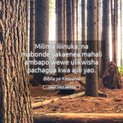 Picture 05 - Zaburi 104:8 SWHULB - Milima iliinuka, na mabonde yakaenea mahali - Bible Verse Picture