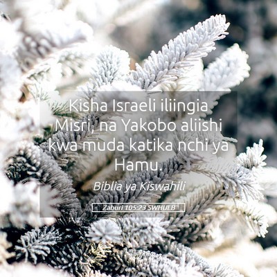 Picture 05 - Zaburi 105:23 SWHULB - Kisha Israeli iliingia Misri, na Yakobo aliishi - Bible Verse Picture