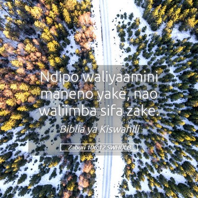 Picture 05 - Zaburi 106:12 SWHULB - Ndipo waliyaamini maneno yake, nao waliimba sifa - Bible Verse Picture