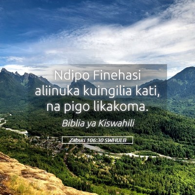 Picture 05 - Zaburi 106:30 SWHULB - Ndipo Finehasi aliinuka kuingilia kati, na pigo - Bible Verse Picture