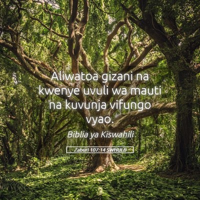 Picture 05 - Zaburi 107:14 SWHULB - Aliwatoa gizani na kwenye uvuli wa mauti na - Bible Verse Picture