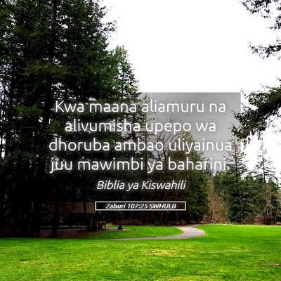 Picture 05 - Zaburi 107:25 SWHULB - Kwa maana aliamuru na alivumisha upepo wa dhoruba - Bible Verse Picture