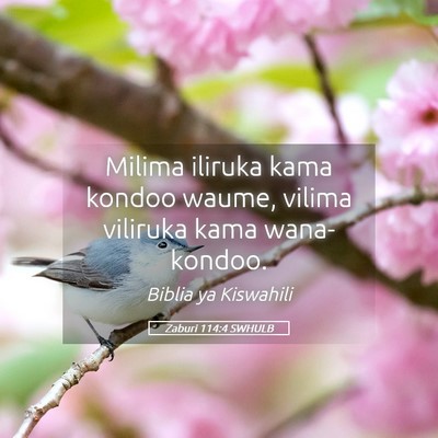 Picture 05 - Zaburi 114:4 SWHULB - Milima iliruka kama kondoo waume, vilima viliruka - Bible Verse Picture
