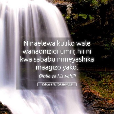 Picture 05 - Zaburi 119:100 SWHULB - Ninaelewa kuliko wale wanaonizidi umri; hii ni - Bible Verse Picture