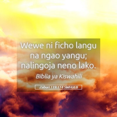 Picture 05 - Zaburi 119:114 SWHULB - Wewe ni ficho langu na ngao yangu; nalingoja neno - Bible Verse Picture