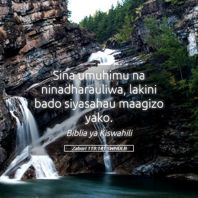 Picture 05 - Zaburi 119:141 SWHULB - Sina umuhimu na ninadharauliwa, lakini bado - Bible Verse Picture