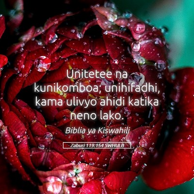 Picture 05 - Zaburi 119:154 SWHULB - Unitetee na kunikomboa; unihifadhi, kama ulivyo - Bible Verse Picture
