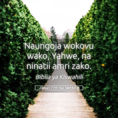 Picture 05 - Zaburi 119:166 SWHULB - Naungoja wokovu wako, Yahwe, na ninatii amri - Bible Verse Picture