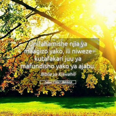 Picture 05 - Zaburi 119:27 SWHULB - Unifahamishe njia ya maagizo yako, ili niweze - Bible Verse Picture