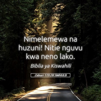 Picture 05 - Zaburi 119:28 SWHULB - Nimelemewa na huzuni! Nitie nguvu kwa neno - Bible Verse Picture