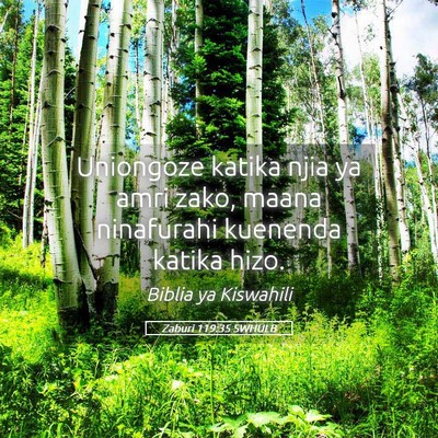 Picture 05 - Zaburi 119:35 SWHULB - Uniongoze katika njia ya amri zako, maana - Bible Verse Picture