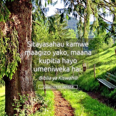 Picture 05 - Zaburi 119:93 SWHULB - Sitayasahau kamwe maagizo yako, maana kupitia - Bible Verse Picture