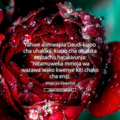 Picture 05 - Zaburi 132:11 SWHULB - Yahwe alimwapia Daudi kiapo cha uhakika, kiapo - Bible Verse Picture