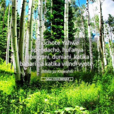 Picture 05 - Zaburi 135:6 SWHULB - Chochote Yahwe apendacho, hufanya mbinguni, - Bible Verse Picture