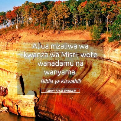 Picture 05 - Zaburi 135:8 SWHULB - Aliua mzaliwa wa kwanza wa Misri, wote wanadamu - Bible Verse Picture