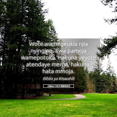 Picture 05 - Zaburi 14:3 SWHULB - Wote wamegeukia njia nyingine. Kwa pamoja - Bible Verse Picture